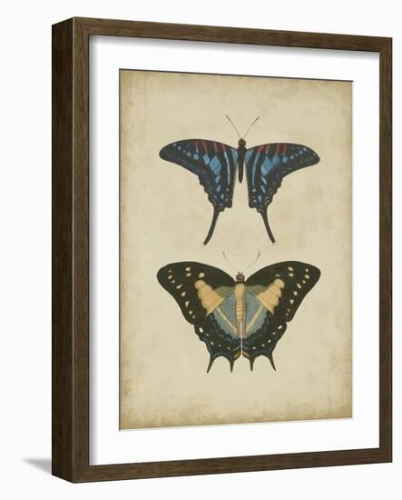 Antique Butterfly Pair III-Vision Studio-Framed Art Print