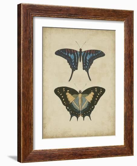 Antique Butterfly Pair III-Vision Studio-Framed Art Print