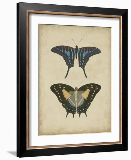 Antique Butterfly Pair III-Vision Studio-Framed Art Print