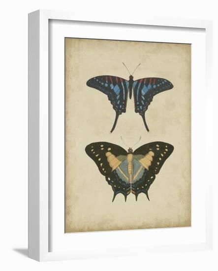 Antique Butterfly Pair III-Vision Studio-Framed Art Print