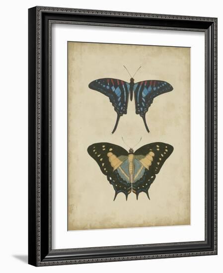Antique Butterfly Pair III-Vision Studio-Framed Art Print