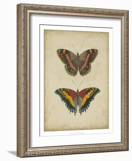 Antique Butterfly Pair IV-Vision Studio-Framed Art Print