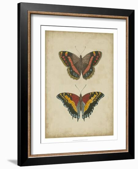 Antique Butterfly Pair IV-Vision Studio-Framed Art Print