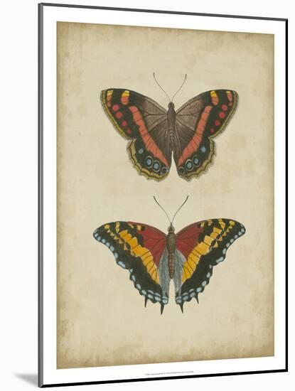 Antique Butterfly Pair IV-Vision Studio-Mounted Art Print