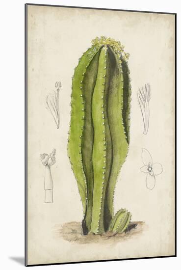 Antique Cactus VI-Curtis-Mounted Art Print