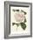 Antique Camellia III-Van Houtte-Framed Art Print