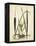 Antique Cattail I-Samuel Curtis-Framed Stretched Canvas