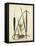 Antique Cattail I-Samuel Curtis-Framed Stretched Canvas