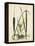 Antique Cattail I-Samuel Curtis-Framed Stretched Canvas