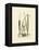 Antique Cattail I-Samuel Curtis-Framed Stretched Canvas