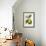 Antique Citrus Fruit IV-Pancrace Bessa-Framed Art Print displayed on a wall