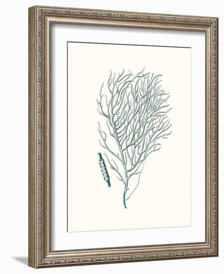 Antique Coastal Coral I-Johann Esper-Framed Art Print