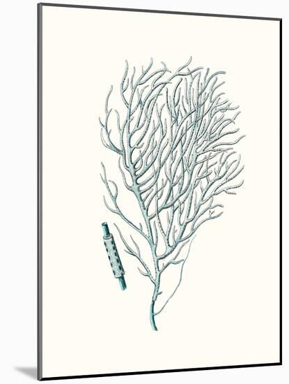 Antique Coastal Coral I-Johann Esper-Mounted Art Print