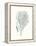 Antique Coastal Coral I-Johann Esper-Framed Stretched Canvas