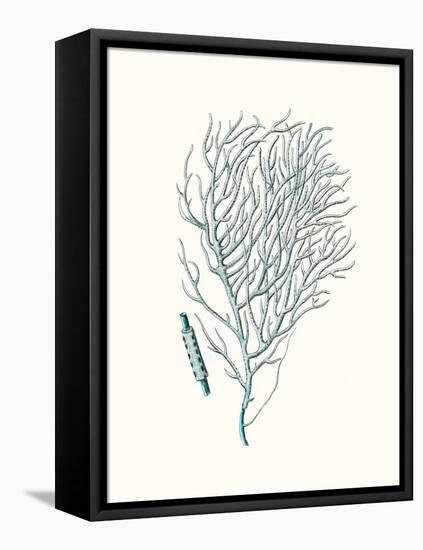 Antique Coastal Coral I-Johann Esper-Framed Stretched Canvas