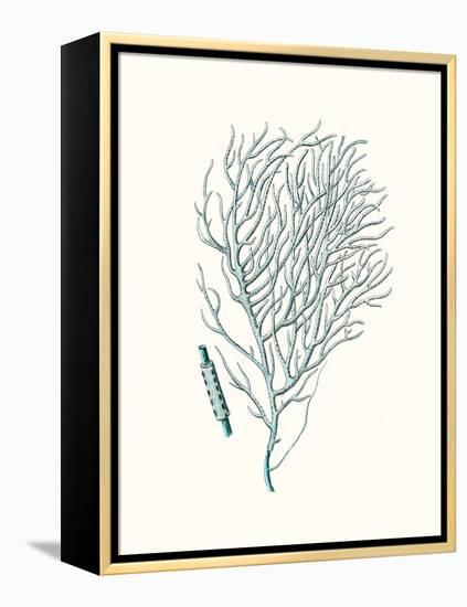 Antique Coastal Coral I-Johann Esper-Framed Stretched Canvas