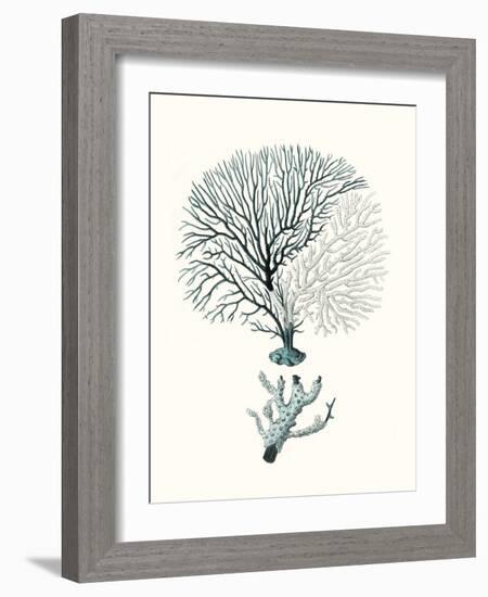 Antique Coastal Coral III-Johann Esper-Framed Art Print