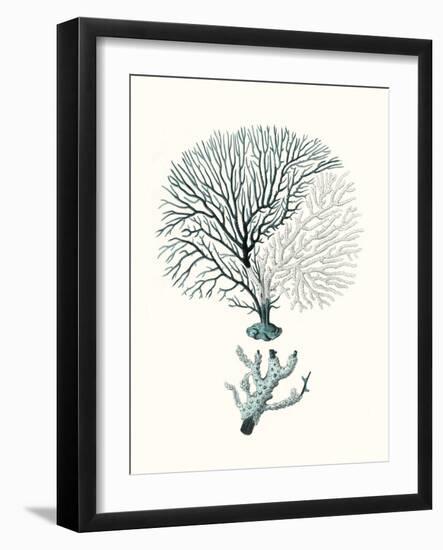 Antique Coastal Coral III-Johann Esper-Framed Art Print