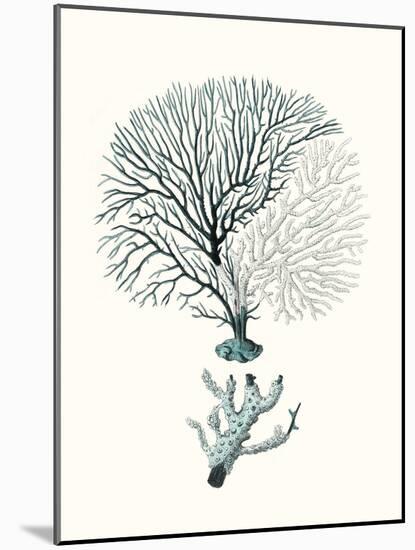 Antique Coastal Coral III-Johann Esper-Mounted Art Print