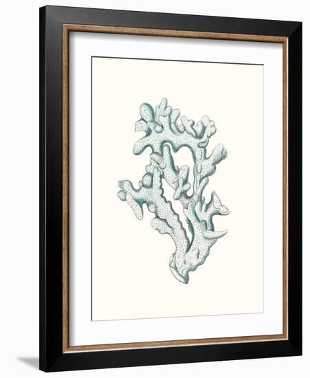 Antique Coastal Coral IV-Johann Esper-Framed Art Print