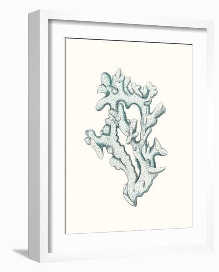 Antique Coastal Coral IV-Johann Esper-Framed Art Print