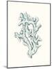 Antique Coastal Coral IV-Johann Esper-Mounted Art Print