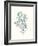 Antique Coastal Coral IV-Johann Esper-Framed Art Print