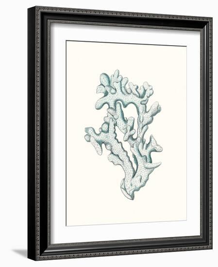 Antique Coastal Coral IV-Johann Esper-Framed Art Print