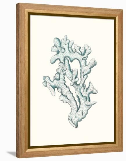 Antique Coastal Coral IV-Johann Esper-Framed Stretched Canvas