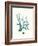 Antique Coastal Coral IX-Johann Esper-Framed Art Print