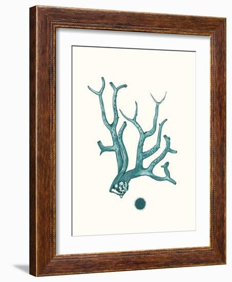 Antique Coastal Coral IX-Johann Esper-Framed Art Print