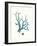 Antique Coastal Coral IX-Johann Esper-Framed Art Print