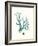 Antique Coastal Coral IX-Johann Esper-Framed Art Print