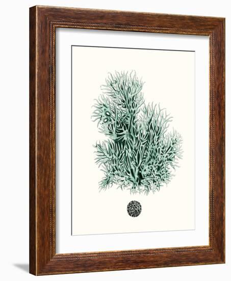 Antique Coastal Coral V-Johann Esper-Framed Art Print