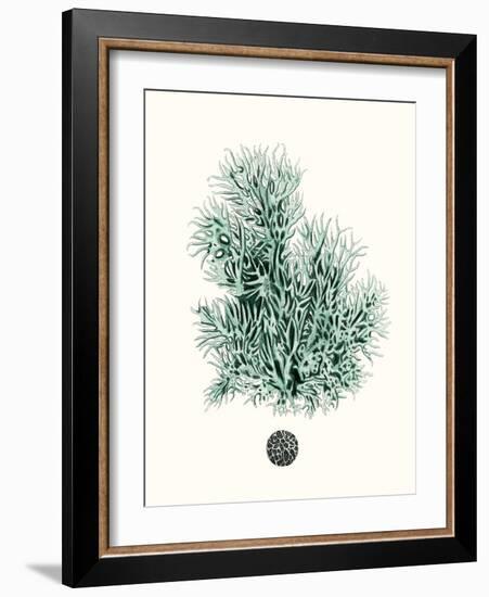 Antique Coastal Coral V-Johann Esper-Framed Art Print