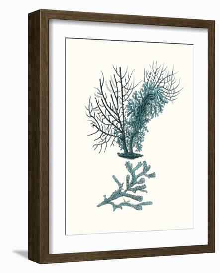 Antique Coastal Coral VI-Johann Esper-Framed Art Print