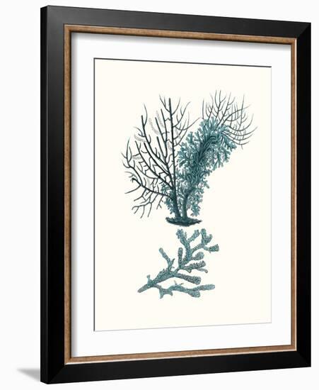 Antique Coastal Coral VI-Johann Esper-Framed Art Print