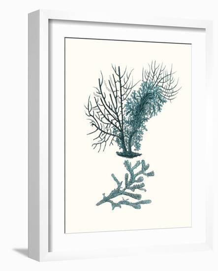 Antique Coastal Coral VI-Johann Esper-Framed Art Print