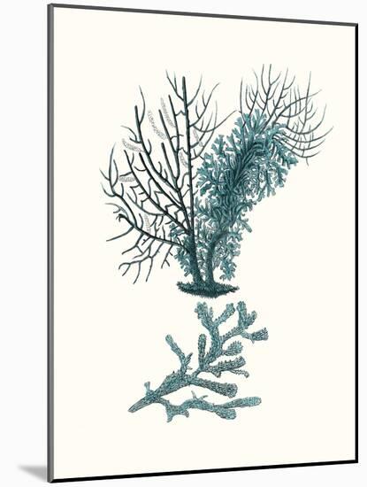 Antique Coastal Coral VI-Johann Esper-Mounted Art Print