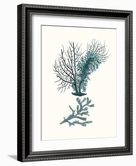Antique Coastal Coral VI-Johann Esper-Framed Art Print