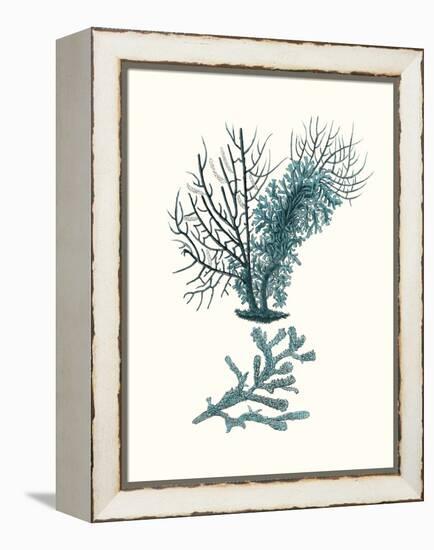 Antique Coastal Coral VI-Johann Esper-Framed Stretched Canvas