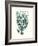 Antique Coastal Coral VIII-Johann Esper-Framed Art Print