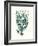 Antique Coastal Coral VIII-Johann Esper-Framed Art Print