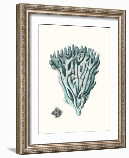 Antique Coastal Coral X-Johann Esper-Framed Art Print