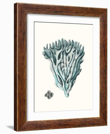 Antique Coastal Coral X-Johann Esper-Framed Art Print