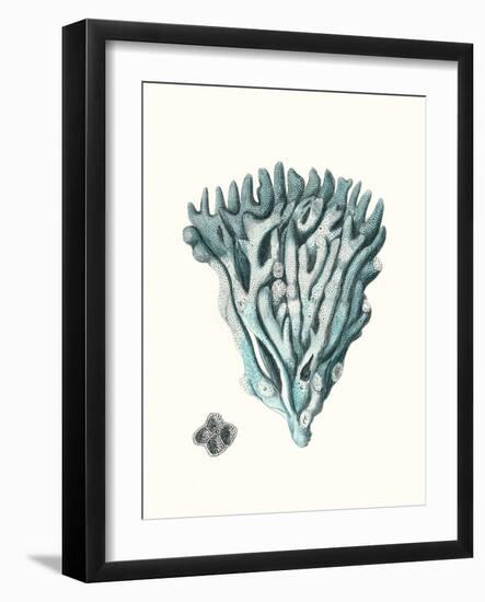Antique Coastal Coral X-Johann Esper-Framed Art Print