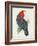 Antique Cockatoo I-Unknown-Framed Art Print