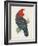 Antique Cockatoo I-Unknown-Framed Art Print