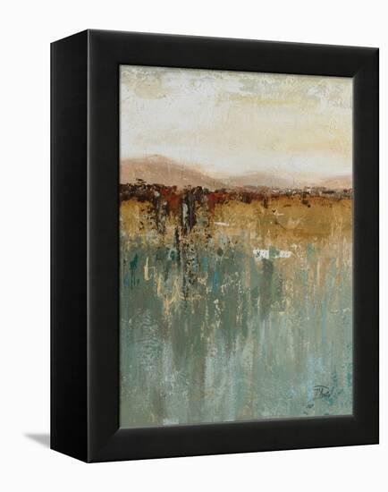 Antique Contemporary I-Patricia Pinto-Framed Stretched Canvas