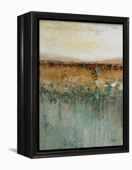 Antique Contemporary II-Patricia Pinto-Framed Stretched Canvas